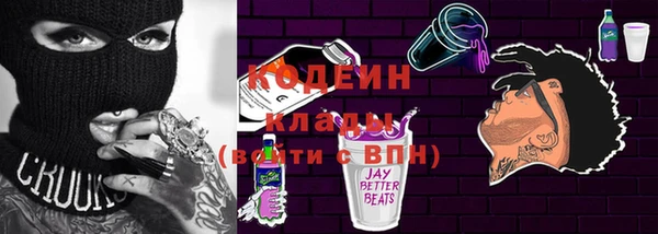 крисы Кодинск