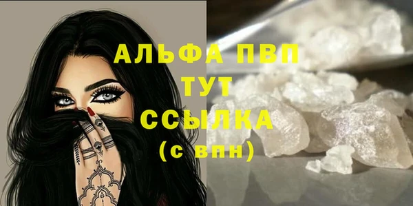 крисы Кодинск