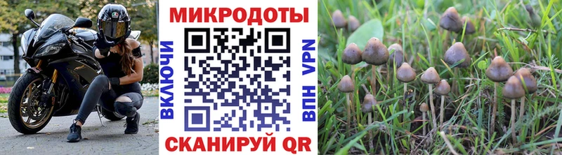 Купить закладки  Протвино  Псилоцибиновые грибы GOLDEN TEACHER 
